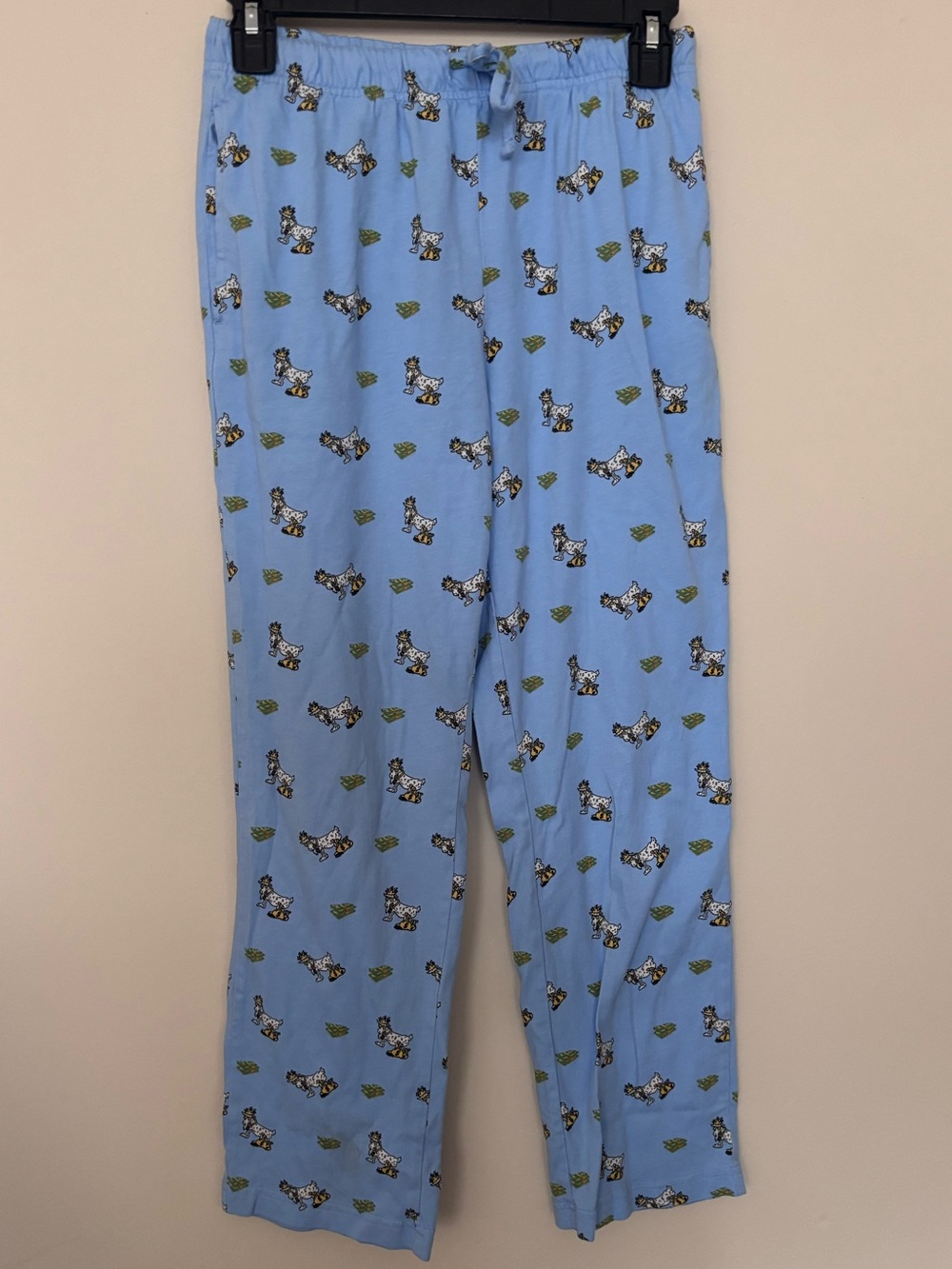 GOAT USA Cash Money Print Pajama Pants Youth Large Blue Lounge Sleep Pants